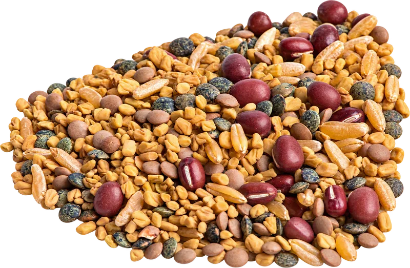 Sprouting Seeds - Ancient Eastern Mix
